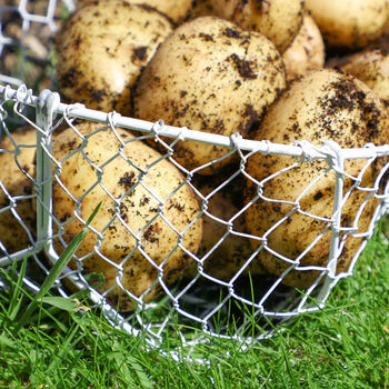 Personalised Home Grown Potatoes Gardening Basket, 6 of 7