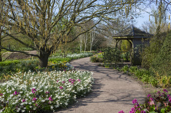 R.H.S Garden Hyde Hall Entrance For Two, 9 of 11