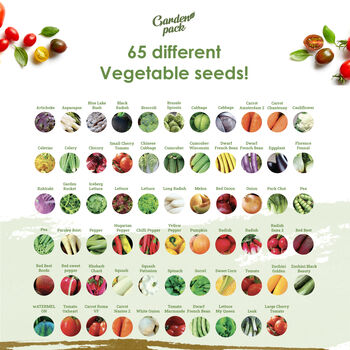 Grow Your Own Gardening Kit With 100 Seed Varieties By Garden Pack ...