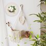 Macrame Cotton Rope With Leaf Wall Hanging Shelf, thumbnail 3 of 8