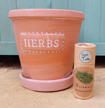 Rosemary Herb Set, 2 of 6
