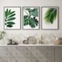 Set Of Three Botanical Green Leaves Prints, thumbnail 1 of 10