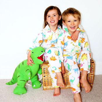 Children's Dinosaur Snuggle Gift, 5 of 6