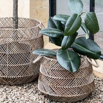 Two Woven Baskets, 2 of 3