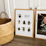 Illustrated British Bees Springtime Print Unframed, thumbnail 6 of 6