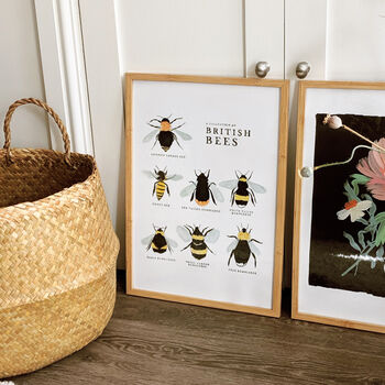 Illustrated British Bees Springtime Print Unframed, 6 of 6
