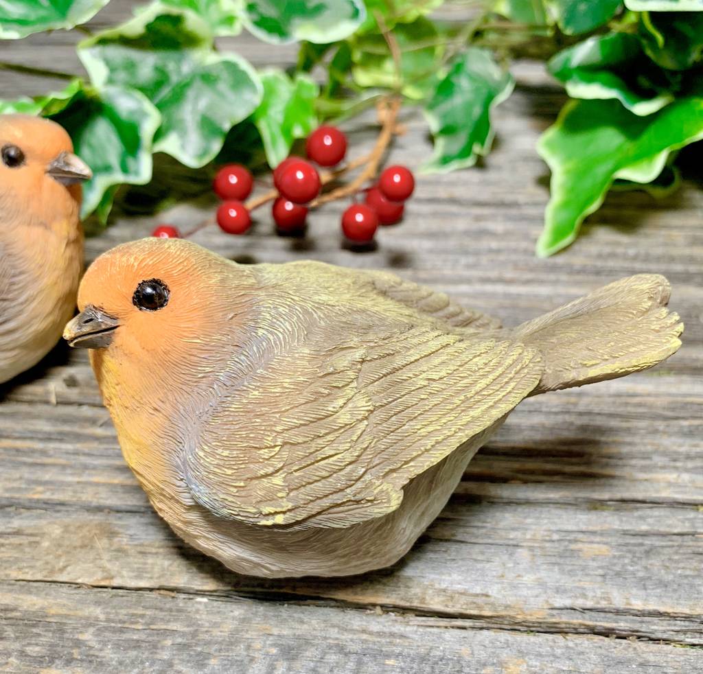 Pair Of Robins Ornament By London Garden Trading