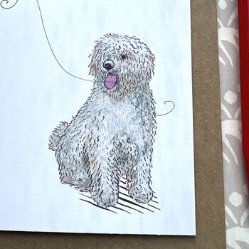 Spanish Water Dog Greetings Card, 6 of 9