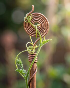 Copper Spiral Plant Support Stake, 3 of 9