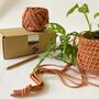 Digital Crochet Plant Pot Workshop And Craft Kit, thumbnail 6 of 11