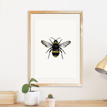 Bee Botanical Illustration Print, 2 of 4