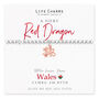 With Love From Wales Gift, Dragon Bracelet Gift, thumbnail 1 of 3