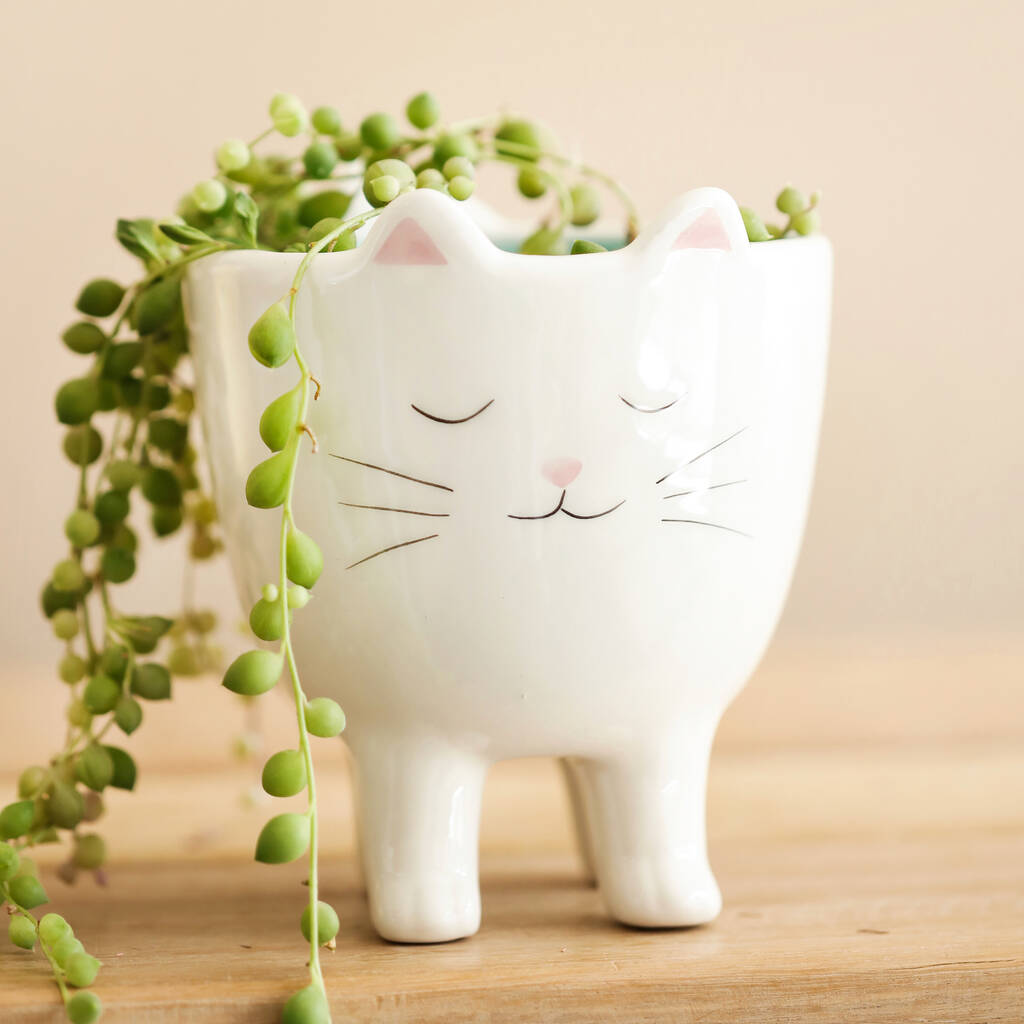 Standing Ceramic Cat Planter, H10cm, 1 of 3