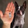 Personalised Dog Full Portrait Keyring, Dog Owner Gift, thumbnail 1 of 8