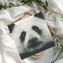 Panda Face Wildlife Greeting Card, thumbnail 1 of 6
