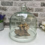 Large 24cm Recycled Glass Cloche Dome Bell Jar, thumbnail 7 of 7
