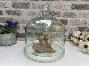 Large 24cm Recycled Glass Cloche Dome Bell Jar, 7 of 7