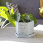 Personalised Anniversary Hexagon Plant Pot For Couples, thumbnail 1 of 9