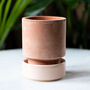 Houseplant Pot And Watering Can Gift Set, thumbnail 4 of 4