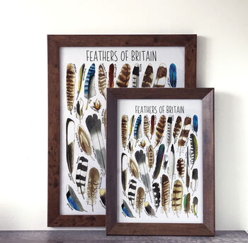 Feathers Of Britain Wildlife Watercolour Print, 8 of 8