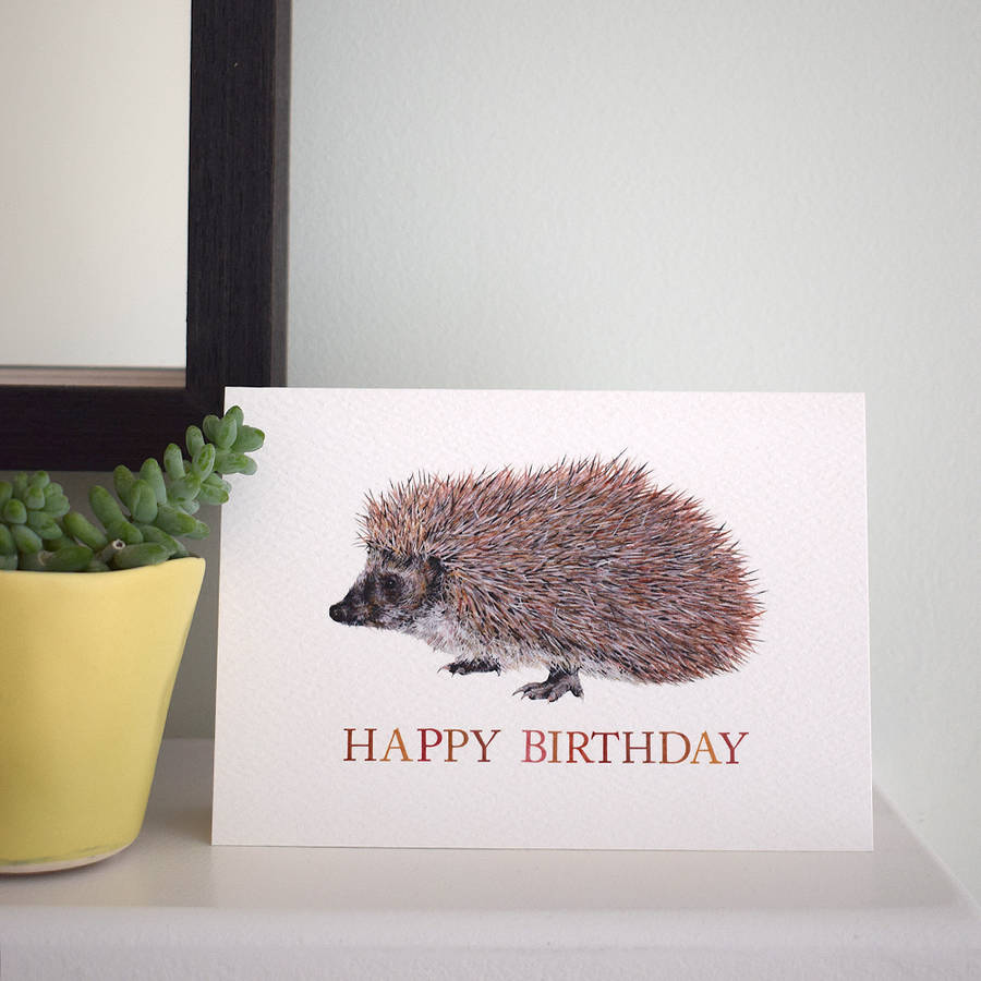 hedgehog happy birthday card by naomi stay | notonthehighstreet.com