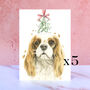 Five Cavalier King Charles Spaniel Christmas Cards, thumbnail 1 of 2