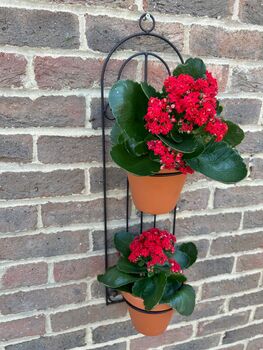 Wall Plant Pot Hanger 70cm Black Metal Garden Wall Planter Holder Bracket, 10 of 10