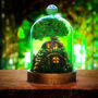 Hobbit Terrarium Kit, thumbnail 1 of 6