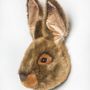 Hare Decorative Animal Head, thumbnail 1 of 2