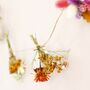 Dried Flower Posy Bunting, thumbnail 6 of 10
