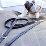 Personalised Brown Or Black Leather Dog Name Collar, thumbnail 6 of 12