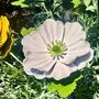 Anemone Garden Stakes Set Of Five, thumbnail 7 of 9