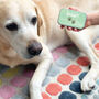Personalised Pet Treat Keepsake Tins, thumbnail 1 of 4