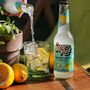 All Natural Classic Sodas Gift Pack, thumbnail 4 of 7