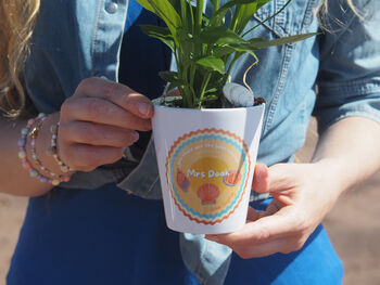 Shells And Sunshine Personalised Teacher Plant Pot Gift, 4 of 6