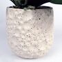 60cm Artificial Orchid With Ceramic Planter, thumbnail 3 of 4
