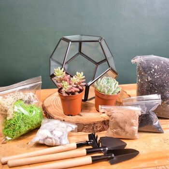Black Geometric Terrarium Kit With Succulent, 8 of 11