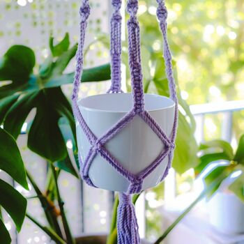 Macrame Plant Hanger Grow Your Own Seed Kit, 2 of 7