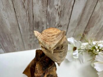 Wooden Owl Ornament Driftwood Sculpture Tawny Owl Gift, 3 of 8