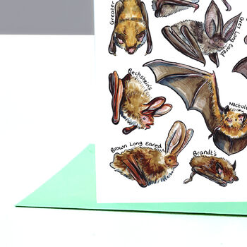 Bats Of Britain Greeting Card, 6 of 7