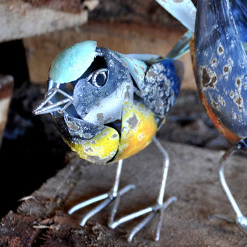 Metal Bird Garden Ornaments Choice Of Six By The Orchard