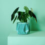 Origami Self Watering Eco Plant Pot: 18cm | Aqua, thumbnail 1 of 4