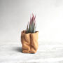 Personalised Mini Leather Paper Bag Planter With Custom Message And Artificial Aloe Vera, thumbnail 4 of 7