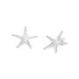 Sterling Silver Starfish Earrings, thumbnail 1 of 2