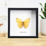 Common Yellow Glider Handcrafted Frame, thumbnail 1 of 3