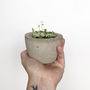 Plantable Let Your Love Grow Postcard, thumbnail 6 of 8