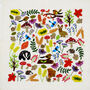 A Walk In The Woods Hand Embroidery Kit, thumbnail 3 of 12