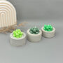 Green Succulent Candles In Handmade Concrete Pots, thumbnail 2 of 12