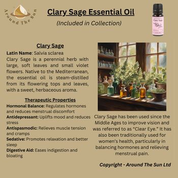 Autumn Season Collection Of Essential Oils And Crystals, 6 of 12