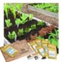 Grow Your Own Six Month Vegetable Seed Subscription, thumbnail 1 of 9